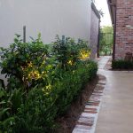 Landscape Design and supply garden center Services