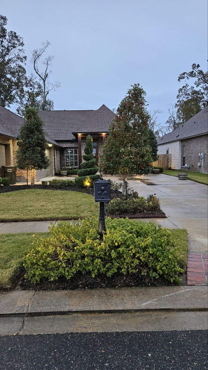 A Baton Rouge suburban house with outdoor lighting, a front yard, two small trees, manicured bushes, and a concrete driveway on a cloudy day.