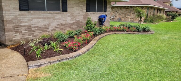 A person tends a flower bed with pink flowers beside a brick house, using drip irrigation along the curved stone edge on a grassy lawn.