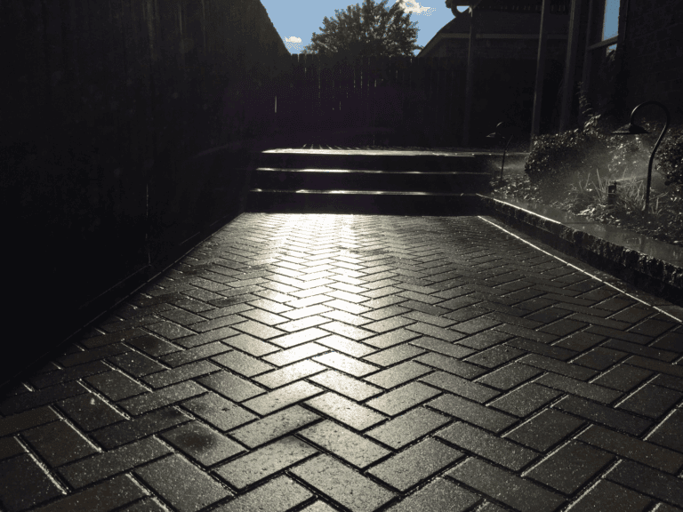 Sunlight reflects off wet, herringbone-patterned decorative pavers leading up to steps with plants visible on the right side.