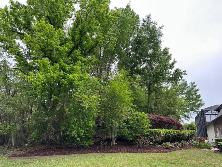 A landscaped yard with green grass, shrubs, flowering plants, and large leafy trees under a cloudy sky.