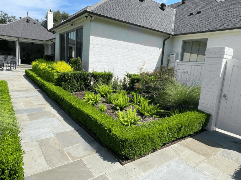 A neatly trimmed hedge borders a small garden bed, creating a perfect portfolio piece beside a modern white house with large windows.